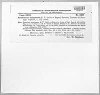 Image Associated With the Occurence